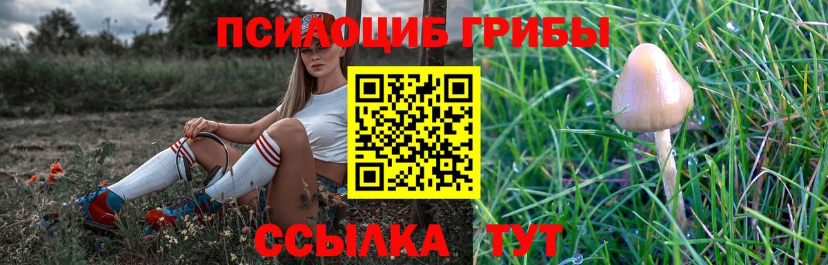 наркотики  Галлюциногенные грибы GOLDEN TEACHER  Славгород  Вход с VPN  Галлюциногенные грибы мицелий 